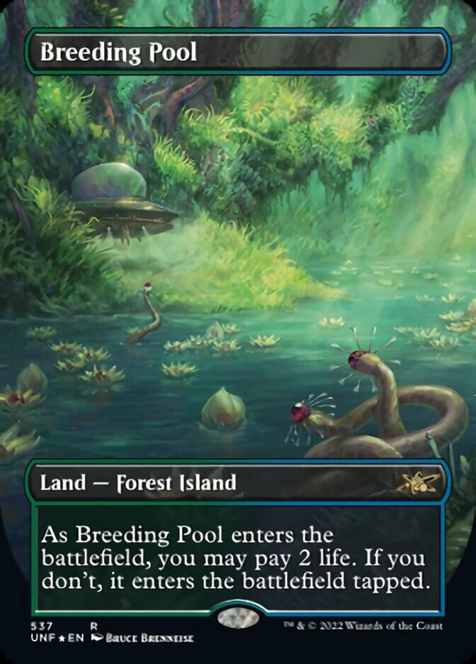 Breeding Pool (Borderless) (Galaxy Foil) [Unfinity] | Card Merchant Takapuna