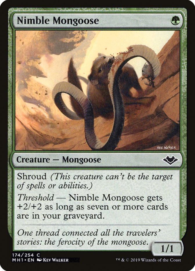 Nimble Mongoose [Modern Horizons] | Card Merchant Takapuna