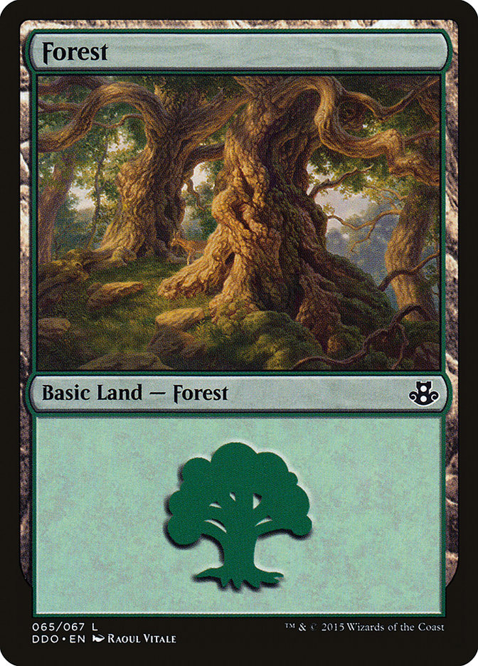 Forest (65) [Duel Decks: Elspeth vs. Kiora] | Card Merchant Takapuna