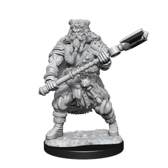 D&D Nolzurs Marvelous Unpainted Miniatures Human Barbarian Male | Card Merchant Takapuna
