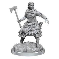 D&D Nolzurs Marvelous Unpainted Miniatures Human Fighters | Card Merchant Takapuna