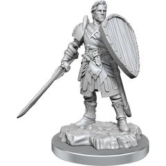 D&D Nolzurs Marvelous Unpainted Miniatures Human Fighters | Card Merchant Takapuna