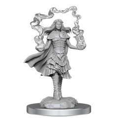 D&D Nolzurs Marvelous Unpainted Miniatures Dark Spellcaster & Flameskulls | Card Merchant Takapuna