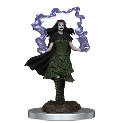 D&D Nolzurs Marvelous Unpainted Miniatures Dark Spellcaster & Flameskulls | Card Merchant Takapuna