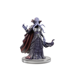 D&D Icons of the Realms Adventure in a Box Mind Flayer Voyage | Card Merchant Takapuna