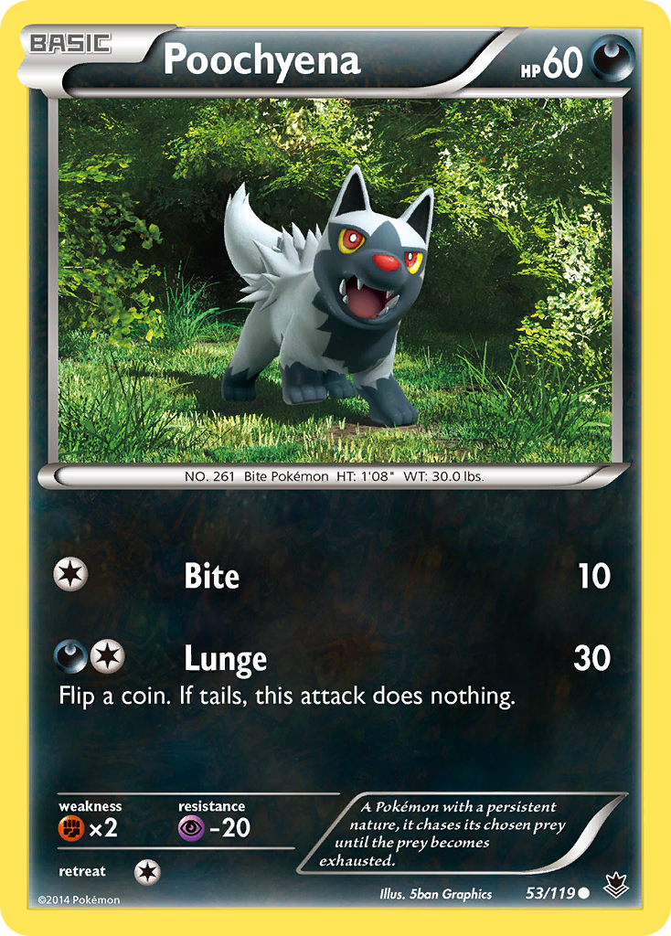 Poochyena (53/119) [XY: Phantom Forces] | Card Merchant Takapuna