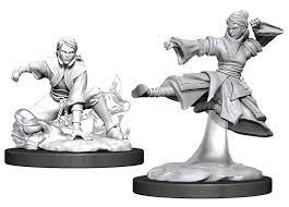 D&D Nolzurs Marvelous Unpainted Miniatures Human Monk (Female) | Card Merchant Takapuna