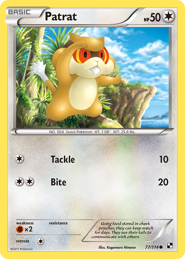 Patrat (77/114) [Black & White: Base Set] | Card Merchant Takapuna