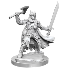 D&D Frameworks Half-Elf Ranger Male | Card Merchant Takapuna