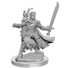 D&D Frameworks Half-Elf Ranger Male | Card Merchant Takapuna