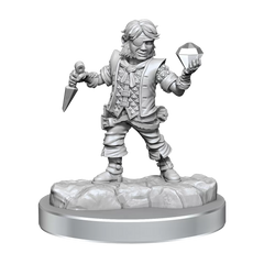 D&D Frameworks Halfling Rogue Male | Card Merchant Takapuna