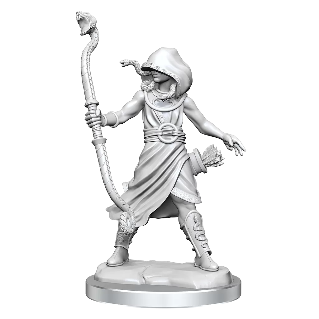 D&D Frameworks Medusa | Card Merchant Takapuna
