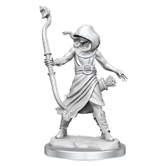 D&D Frameworks Medusa | Card Merchant Takapuna