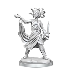 D&D Frameworks Medusa | Card Merchant Takapuna