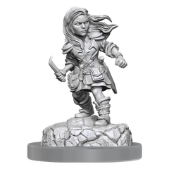 D&D Nolzurs Marvelous Miniatures Halfling Rogue Female | Card Merchant Takapuna