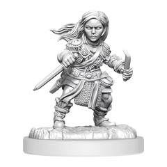 D&D Nolzurs Marvelous Miniatures Halfling Rogue Female | Card Merchant Takapuna