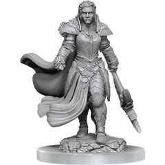 D&D Nolzurs Marvelous Miniatures Orc Fighter Female | Card Merchant Takapuna