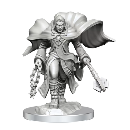 D&D Nolzurs Marvelous Unpainted Miniatures Aasimar Cleric Male