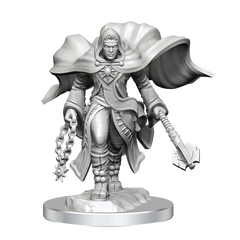 D&D Nolzurs Marvelous Unpainted Miniatures Aasimar Cleric Male | Card Merchant Takapuna