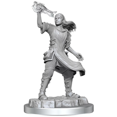 D&D Nolzurs Marvelous Unpainted Miniatures Aasimar Cleric Female | Card Merchant Takapuna