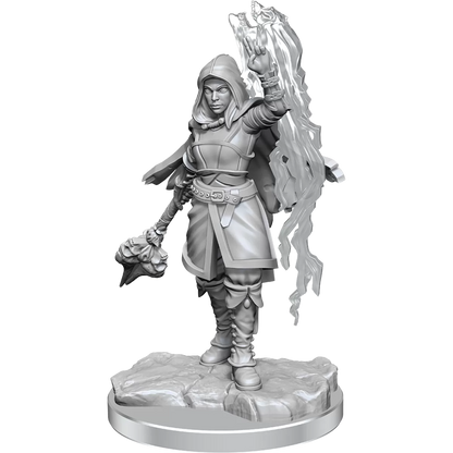 D&D Nolzurs Marvelous Miniatures Half-Elf Warlock