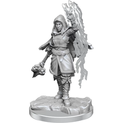 D&D Nolzurs Marvelous Miniatures Half-Elf Warlock | Card Merchant Takapuna