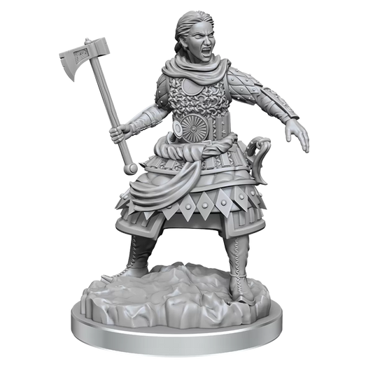 Wizkids Miniature: Human Fighters
