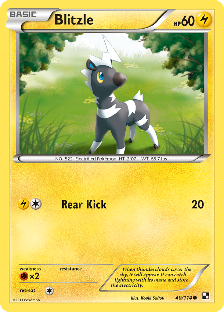 Blitzle (40/114) [Black & White: Base Set] | Card Merchant Takapuna