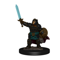D&D Miniature Figurine - Prepainted | Card Merchant Takapuna