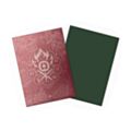 Dragon Shield: Sleeves – Matte Dual Art - MTG Guildpact Series: Gruul Clans | Card Merchant Takapuna