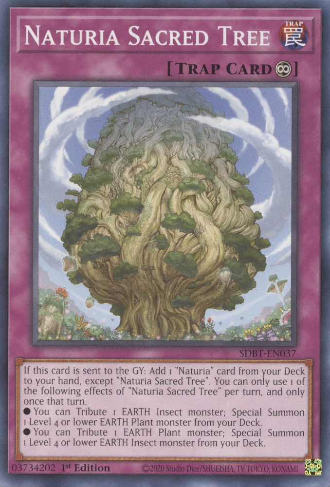 Naturia Sacred Tree [SDBT-EN037] Common | Card Merchant Takapuna