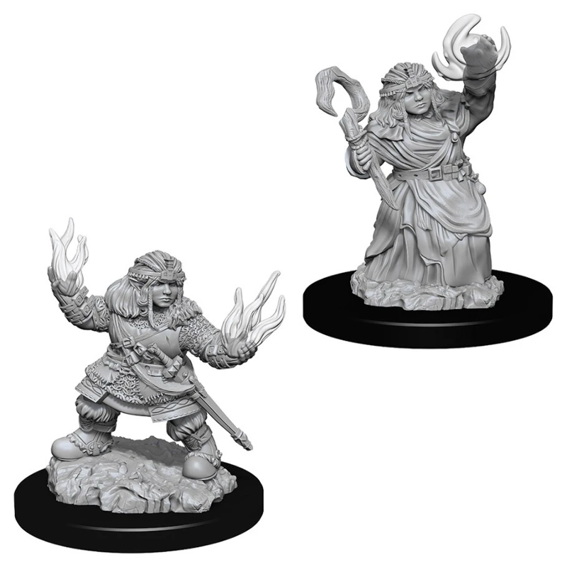 D&D Miniature Figurine - Adventurers | Card Merchant Takapuna