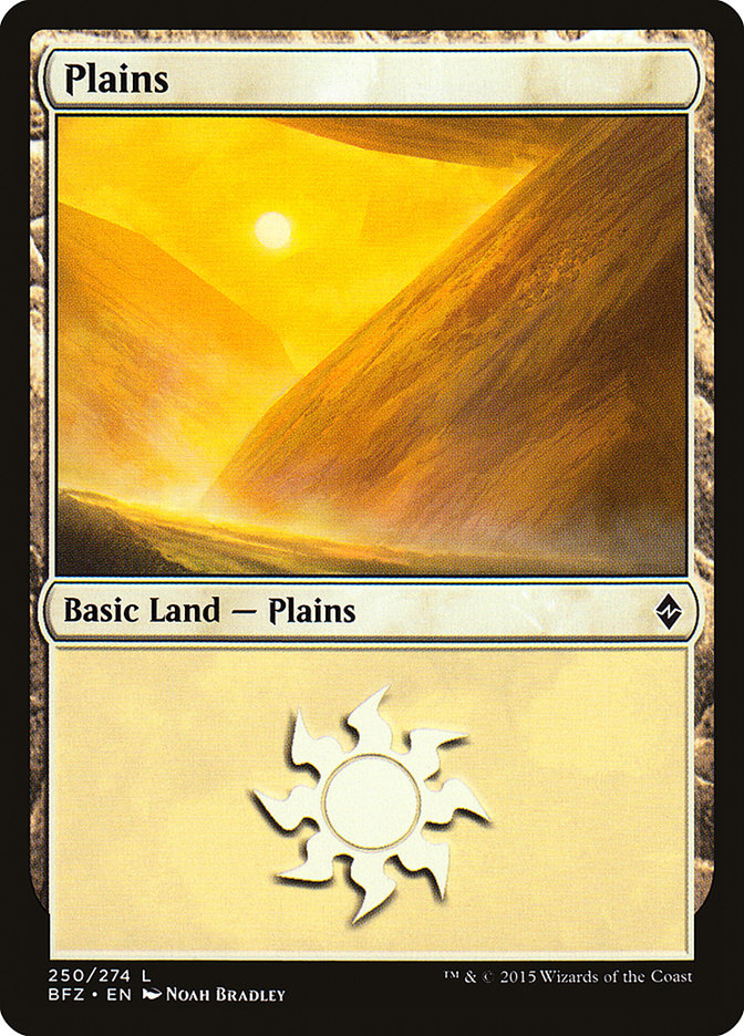 Plains (250) [Battle for Zendikar] | Card Merchant Takapuna