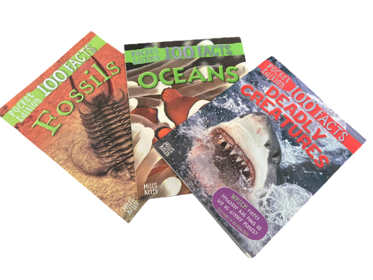100 Facts Pocket deal Busy Bundle