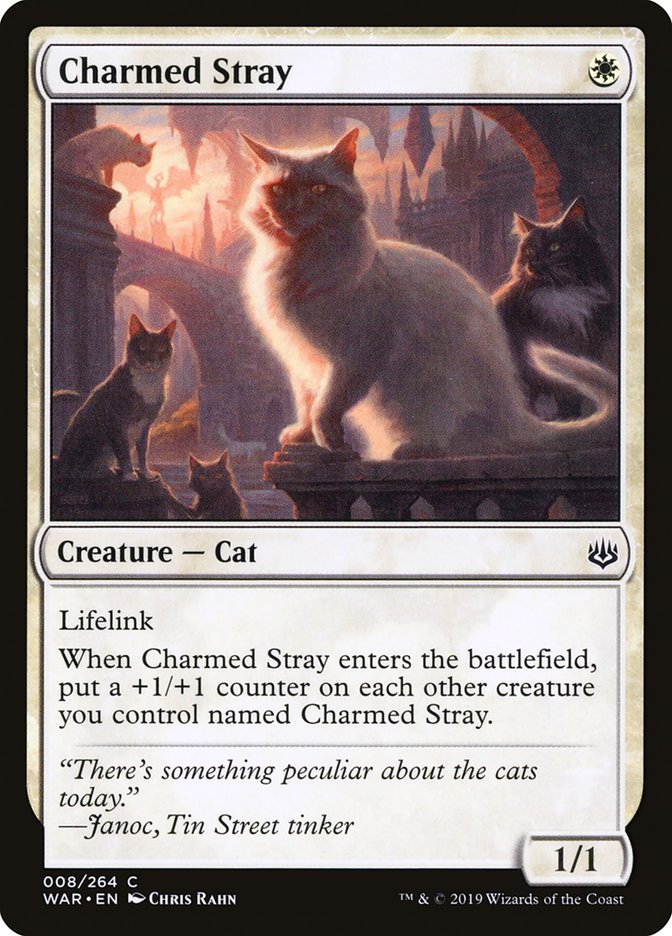 Charmed Stray [War of the Spark] | Card Merchant Takapuna