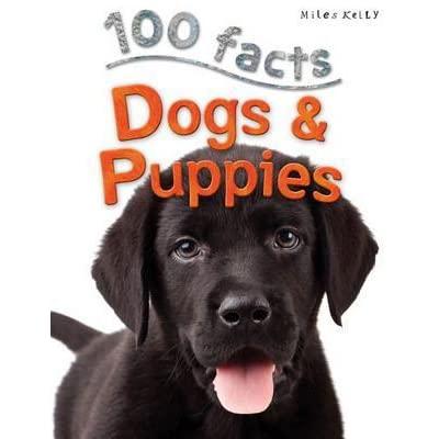 100 facts - Dogs & Puppies | Card Merchant Takapuna