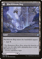 Blackbloom Rogue // Blackbloom Bog [Zendikar Rising] | Card Merchant Takapuna