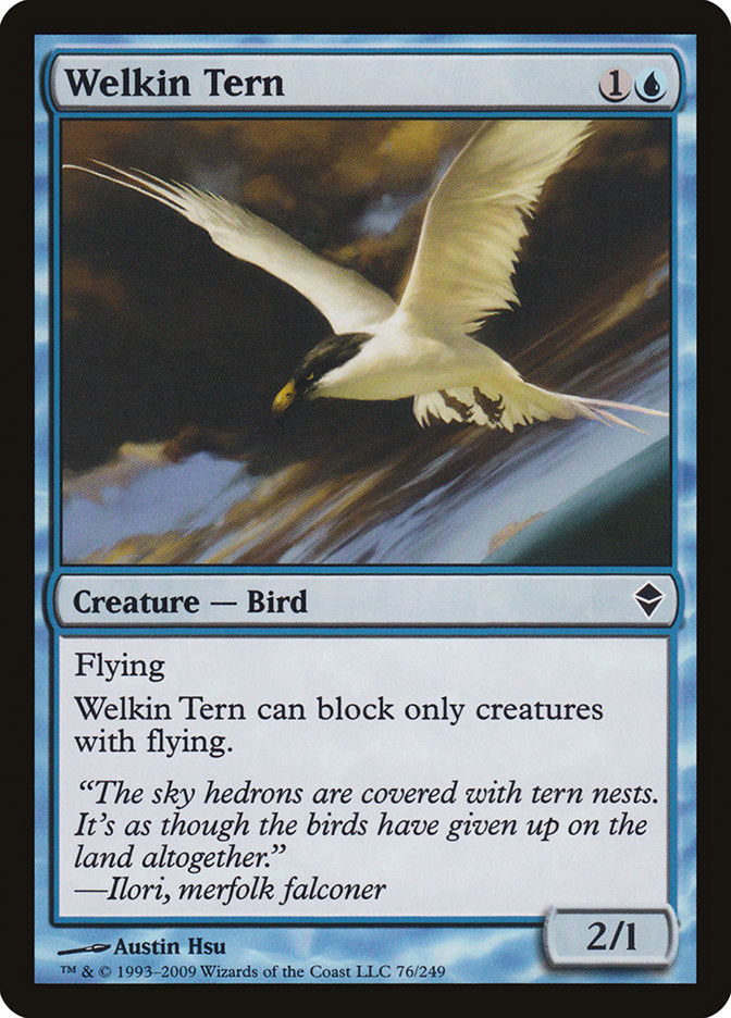 Welkin Tern [Zendikar] | Card Merchant Takapuna
