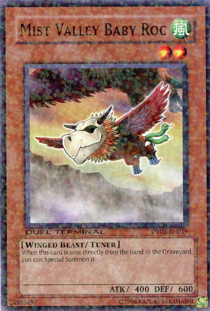 Mist Valley Baby Roc [DT02-EN019] Common | Card Merchant Takapuna