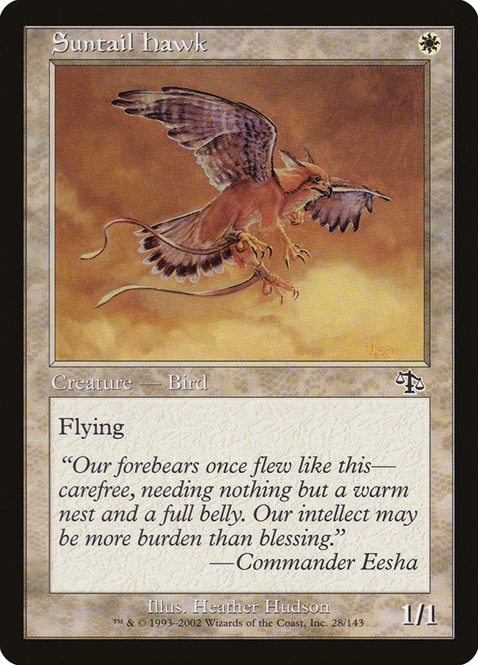Suntail Hawk [Judgment] | Card Merchant Takapuna