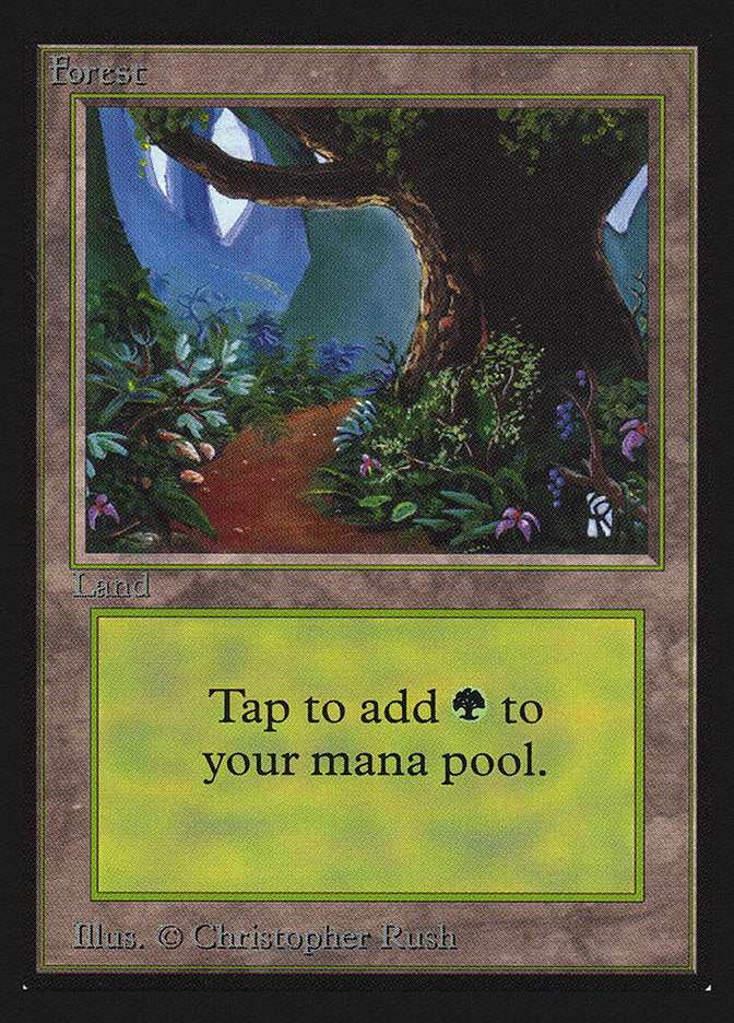 Forest (Flower Path) [Collectors' Edition] | Card Merchant Takapuna