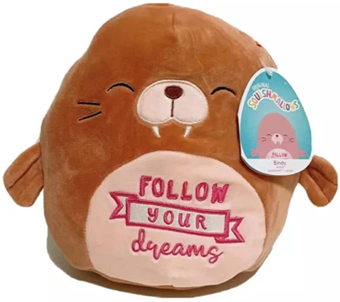 Squishmallows 12 inch Inspirational Message - Follow Your Dreams - Bindy | Card Merchant Takapuna