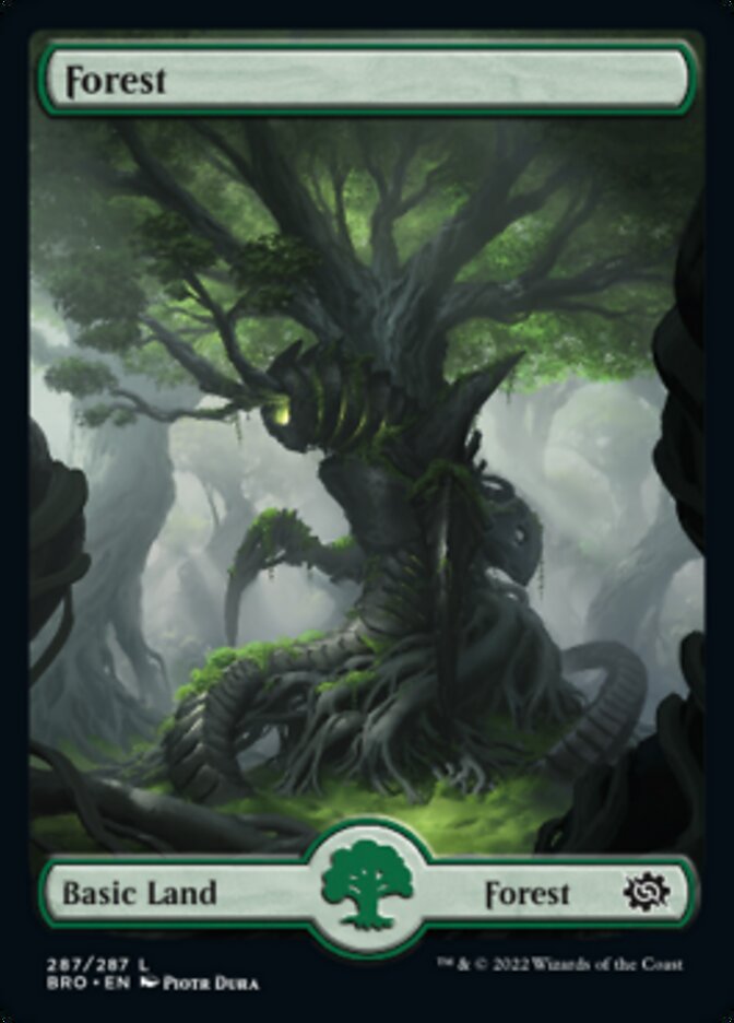 Forest (287) [The Brothers' War] | Card Merchant Takapuna