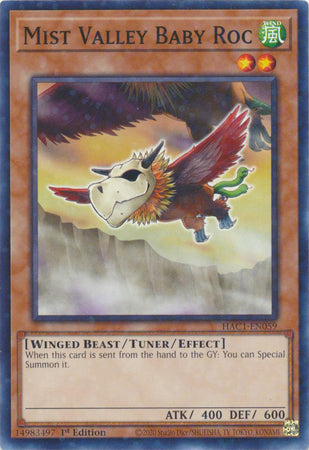 Mist Valley Baby Roc (Duel Terminal) [HAC1-EN059] Common | Card Merchant Takapuna