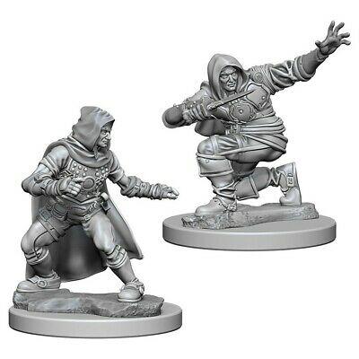 D&D Miniature Figurine - Rogue | Card Merchant Takapuna