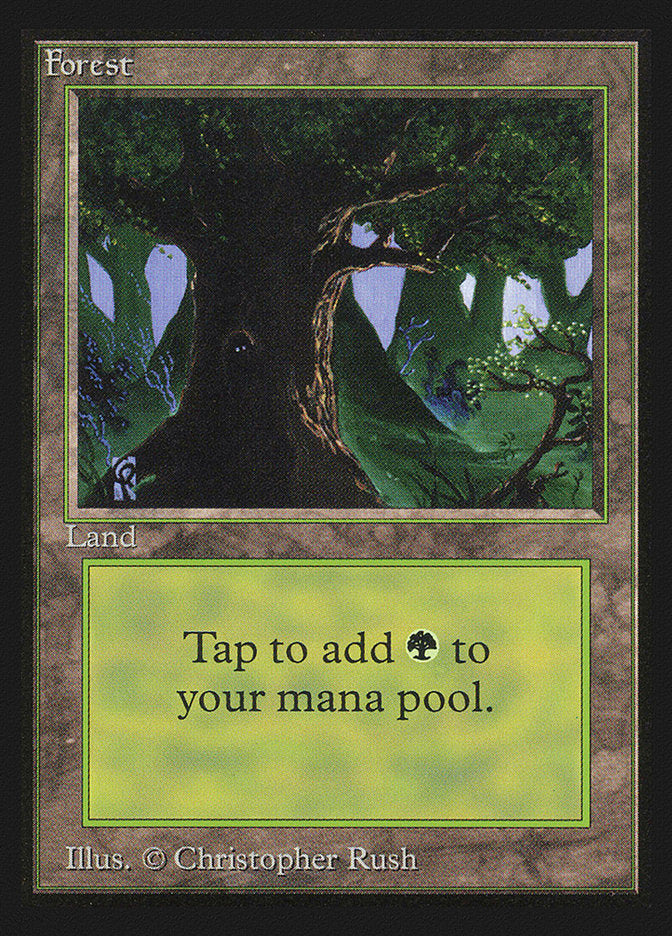 Forest (Eyes in Tree) [Collectors' Edition] | Card Merchant Takapuna