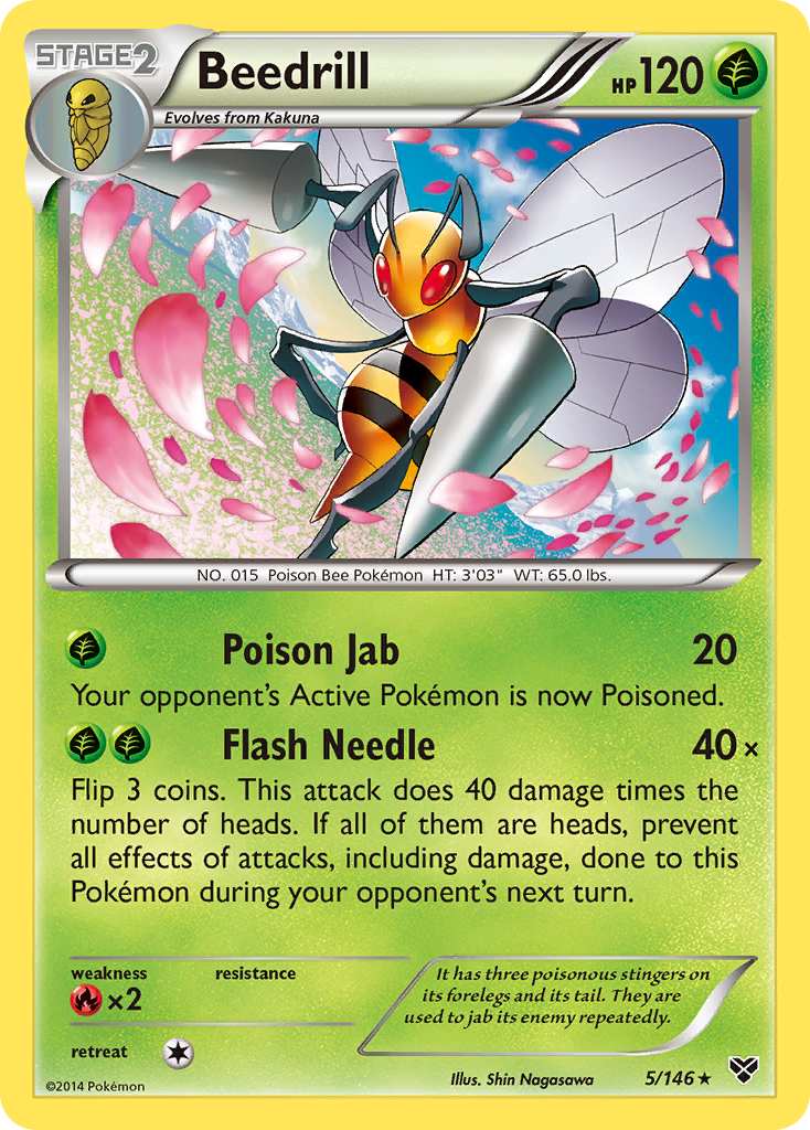 Beedrill (5/146) [XY: Base Set] | Card Merchant Takapuna
