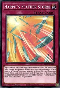 Harpie's Feather Storm [LDS2-EN088] Common | Card Merchant Takapuna