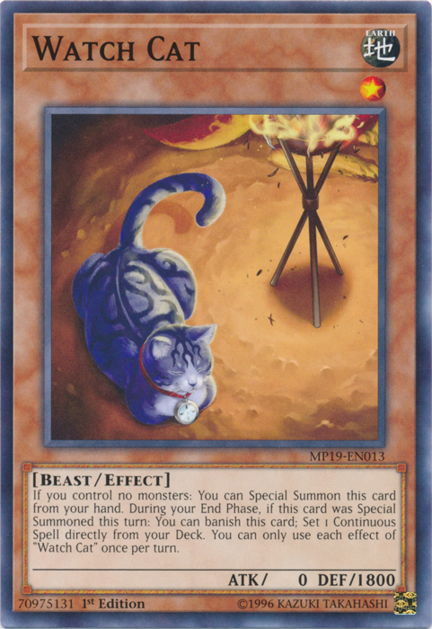 Watch Cat [MP19-EN013] Common | Card Merchant Takapuna