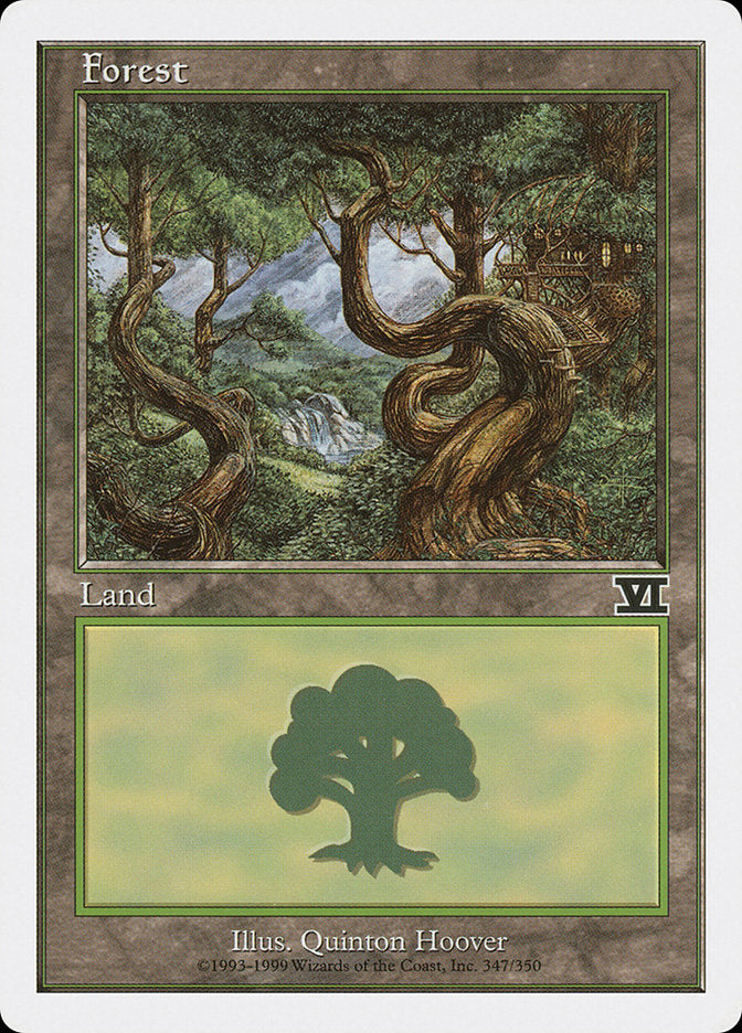 Forest (347) [Classic Sixth Edition] | Card Merchant Takapuna